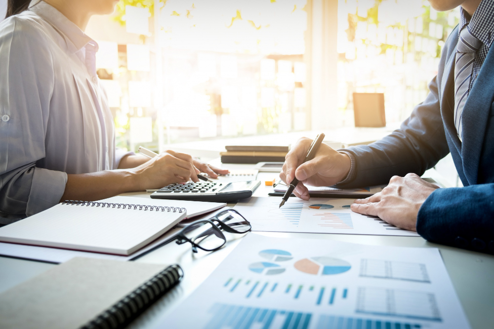 AZED Conseil - Expert en gestion
